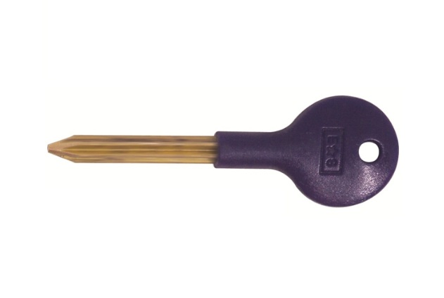 DSK8000B SECURITY BOLT KEY