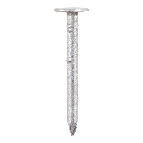 CLOUT NAILS 65MM X 3.75MM GALVANISED (2.5KG)